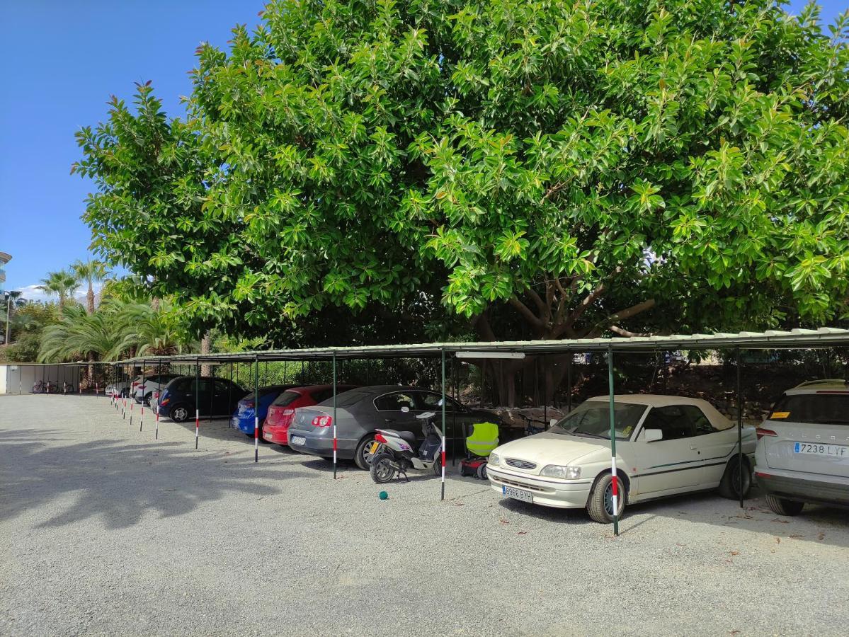Albir cosy apartment El Albir Exterior foto
